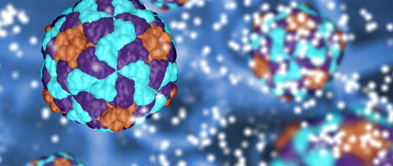 nanoparticle characterization