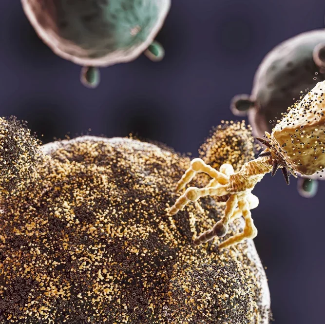 Gold Nanoparticle analysis