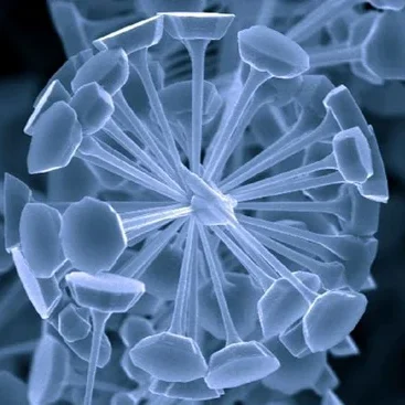 zinc-oxide-nanoparticles